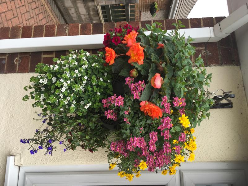 1.5kg Flower Power Premium Plant Food - Richard Jackson Garden