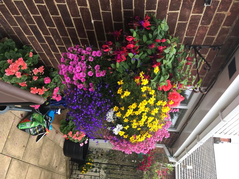 1.5kg Flower Power Premium Plant Food - Richard Jackson Garden