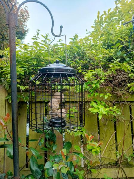 Brussels Fat Ball Bird Feeder Guardian Pack