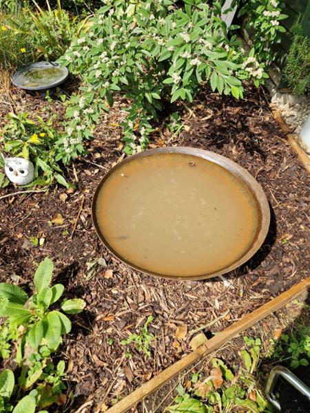 Reflective Water Pools - Steel (Water Pool 80cm ) by The Worm that Turned