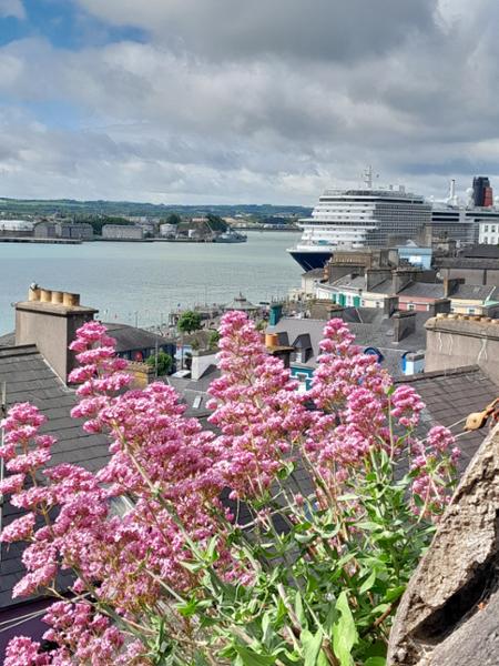 Your tour in Invergordon - Rib Ride Adventure