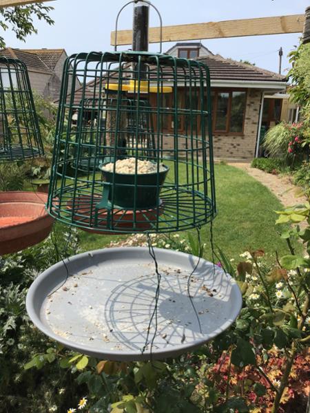 Suet Pellet & Mealworm Guardian Bird Feeder