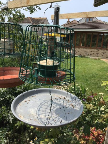 Suet Pellet & Mealworm Guardian Bird Feeder