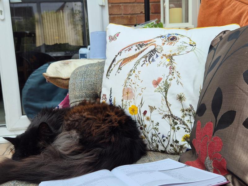 Wildflower Hare Cotton Cushion