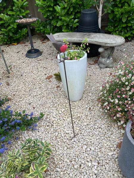 Rhode Island Robin Garden Stake