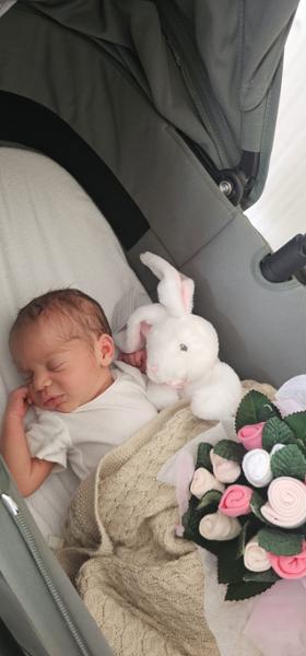 Baby hamper with bunny and bouquet
