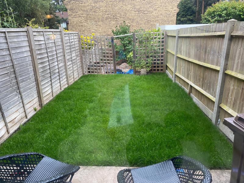 Perfect lush grass