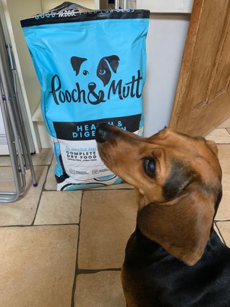 Quality kibble