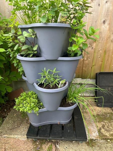 Good quality plant trolley