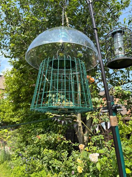 Love my bird feeder