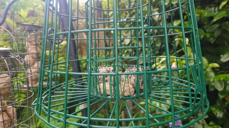 This feeder solved a problem