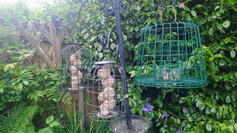 This feeder solved a problem