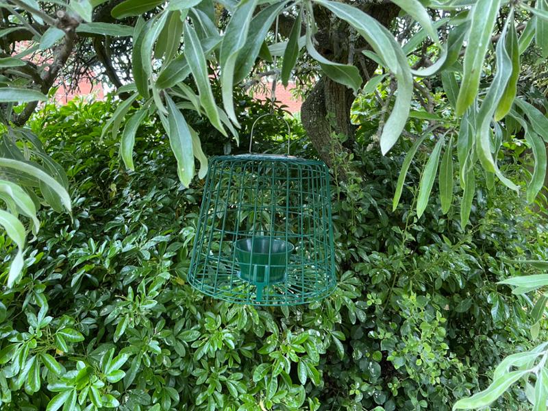 Suet Pellet & Mealworm Guardian Bird Feeder
