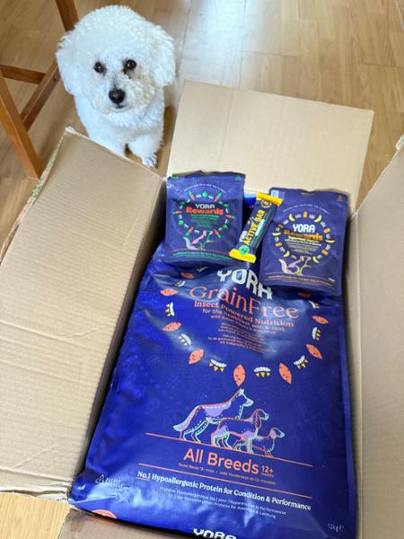 Yora Adult Grain Free Dog Food