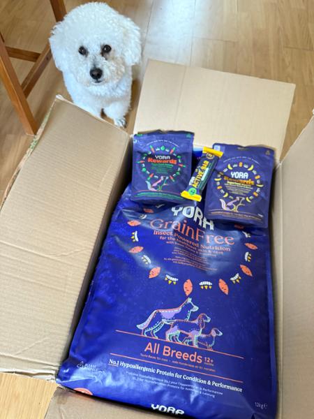 Yora Adult Grain Free Dog Food
