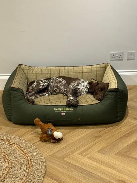 Country Orthopaedic Walled Dog Bed - Olive Green - XL- Replacement Cover - George Barclay