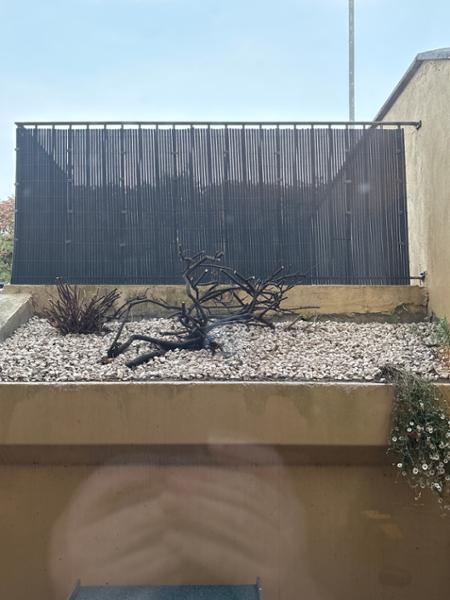 Glenview Lite Gold 20mm Stone