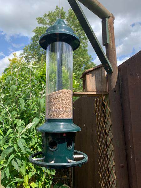 Squirrel Buster PLUS Seed Feeder