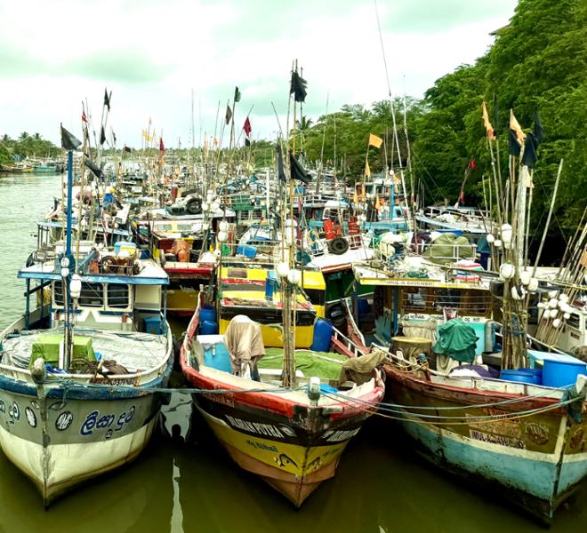4394-Sri Lanka & All Inclusive Maldives
