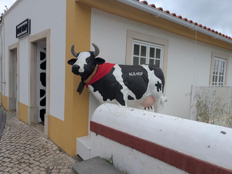Sunny Portugal on 05/19/2025