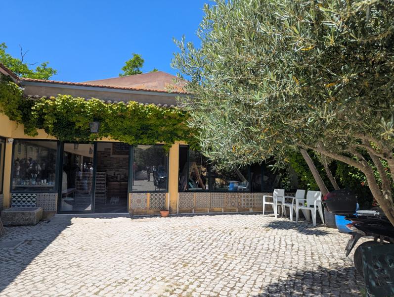 Sunny Portugal on 05/19/2025