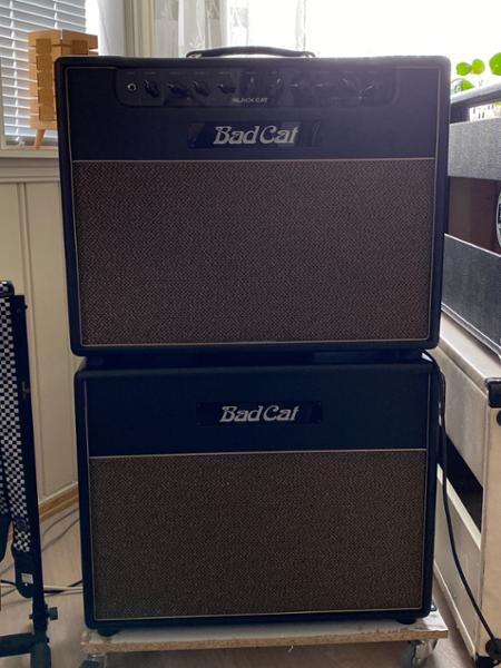 Bad Cat Black Cat 1x12 Extension Cabinet