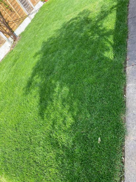 10m2 Value Pack: Lawn Turf + Turfing Topsoil Bulk Bag - 10 sq.m Garden LawnPak
