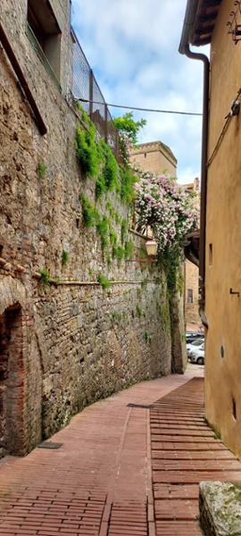 Tuscan & Umbrian Countryside on 05/18/2025