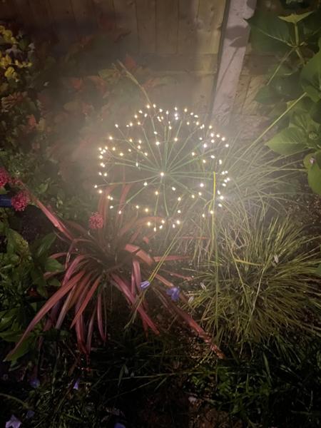 LED Solar Dandelion Outdoor Light 35cm, Green