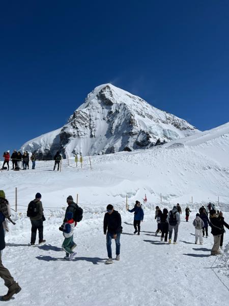 Springtime in the Alps & Chelsea Flower Show 2025