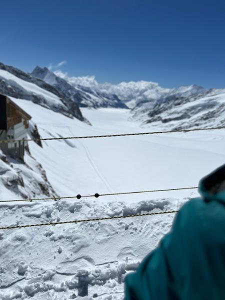 Springtime in the Alps & Chelsea Flower Show 2025