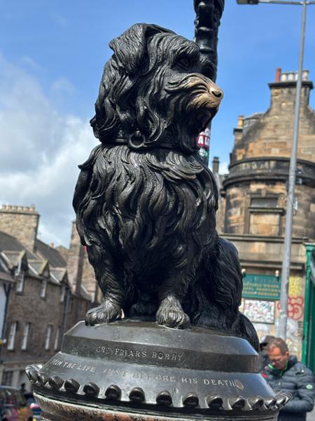 An Adventure In the UK and Ireland!