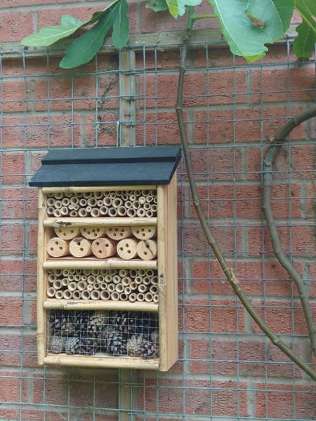 Insect Hotel Capri