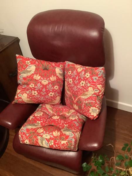 William Morris style Strawberry Thief Cushions and Booster seat