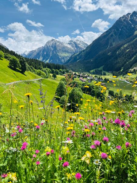 Switzerland  the Matterhorn & the Glacier Express