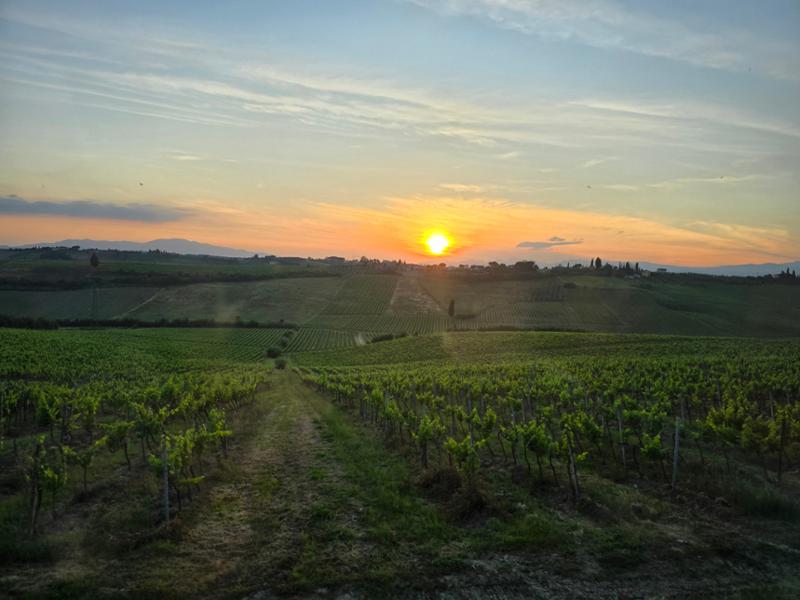 Tuscany Travels