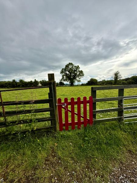 Amazing Ireland