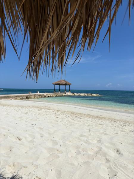 Sandals Montego Bay