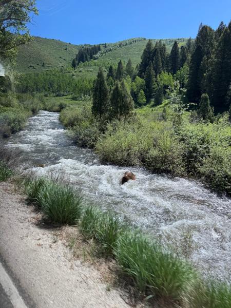 American Parks Trail end Denver