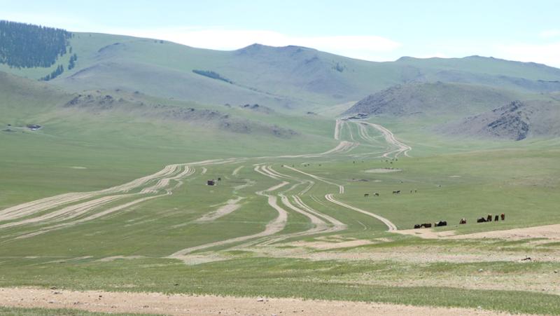 4364-Mongolian Adventure
