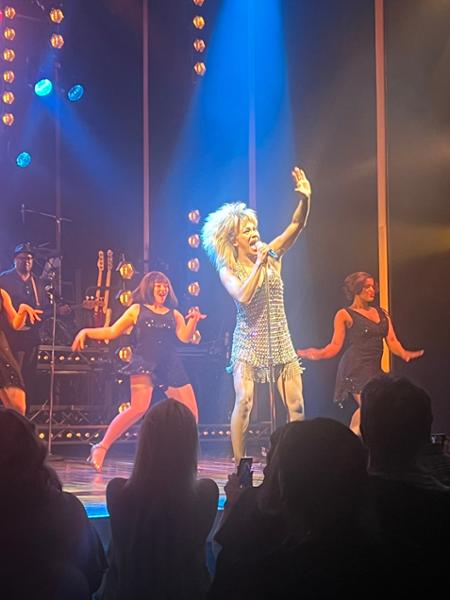 TINA-THE TINA TURNER MUSICAL
