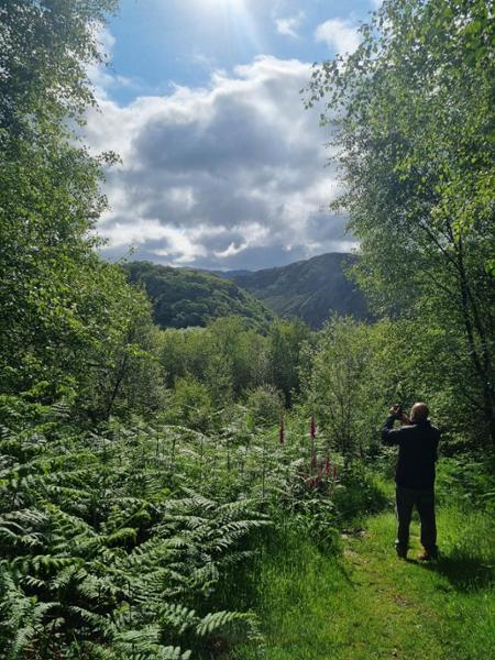 Dinas Emrys