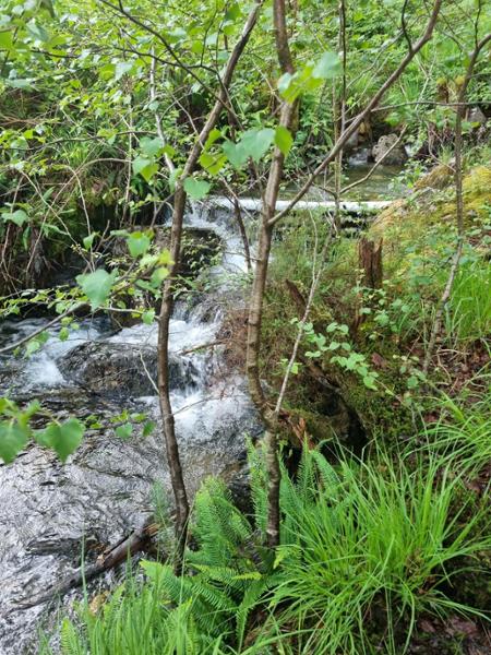 Dinas Emrys