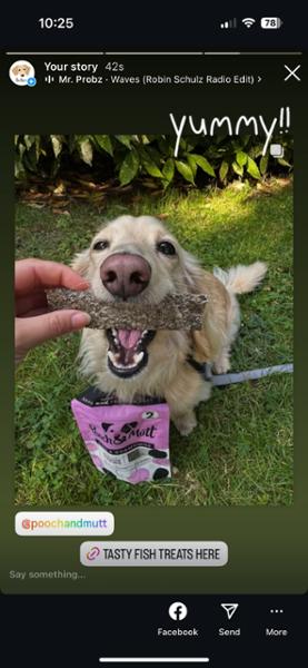 Long Lasting Calming Dog Chews | Fish Hide Chews | Rawhide Free Chews For Dogs | Pooch & Mutt | Chamomile and Lavender