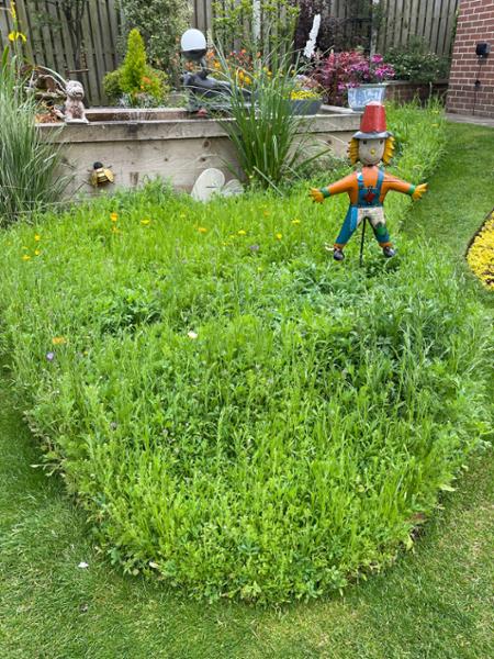 Handmade Recycled Tin, Metal Garden Scarecrow