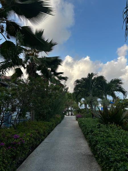Sandals Royal Barbados