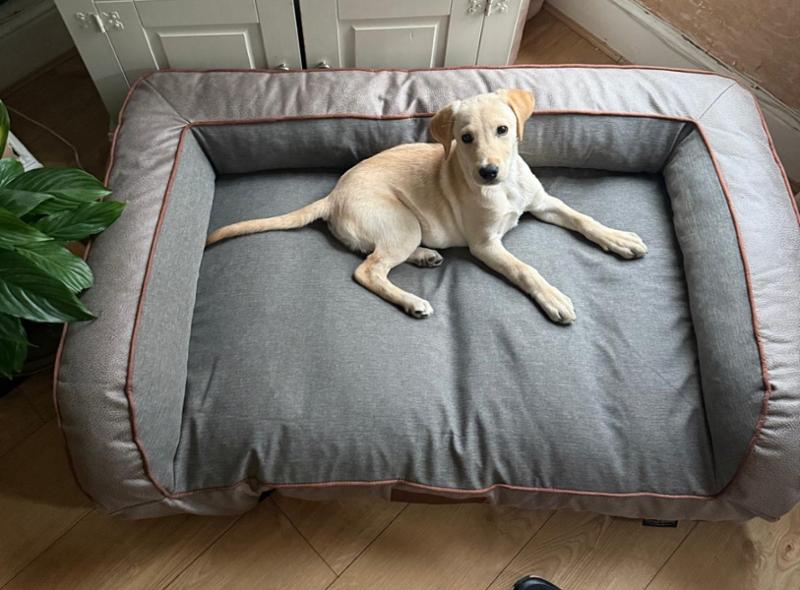 Beckley Dog Sofa Bed - Taupe - Large - Replacement Cover - George Barclay