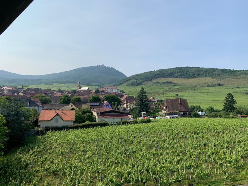 Hotel Munsch Alsace