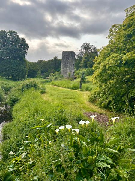 Treasures of Ireland End Dublin