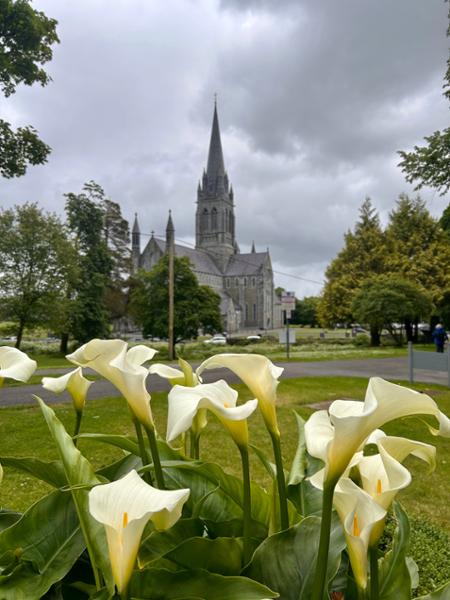 Treasures of Ireland End Dublin